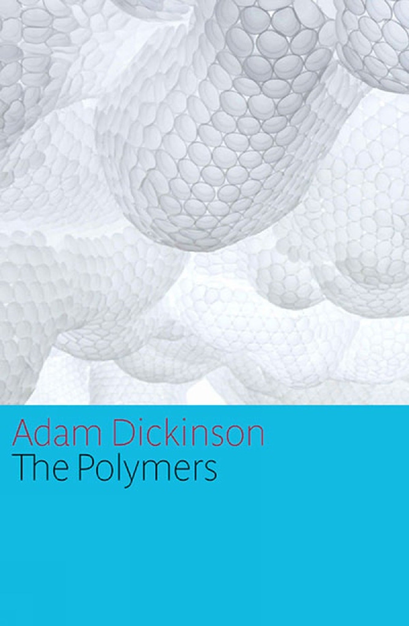 Cover image for The Polymers ISBN 9781770892170